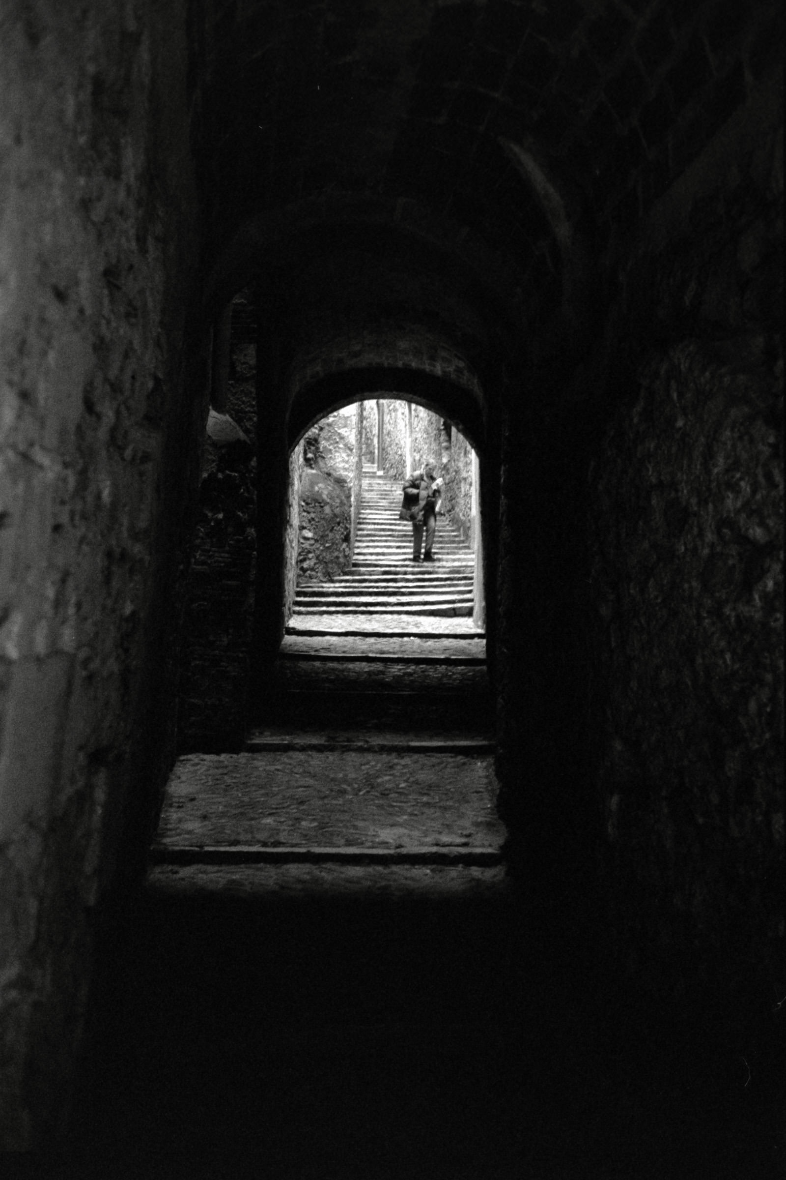 AHP F1996 02 001 sc240816 img13 NLP